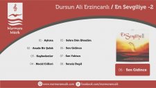 Dursun Ali Erzincanlı - Sen Gidince