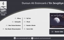 Dursun Ali Erzincanlı - Senin Gibi