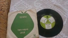 Senem-Ham Meyvayı Kopardılar Dalından (1976)