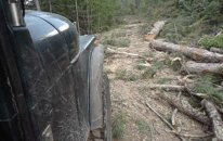 Jeep Cj5 Odun Dolu Dağ Yolu Geçişi