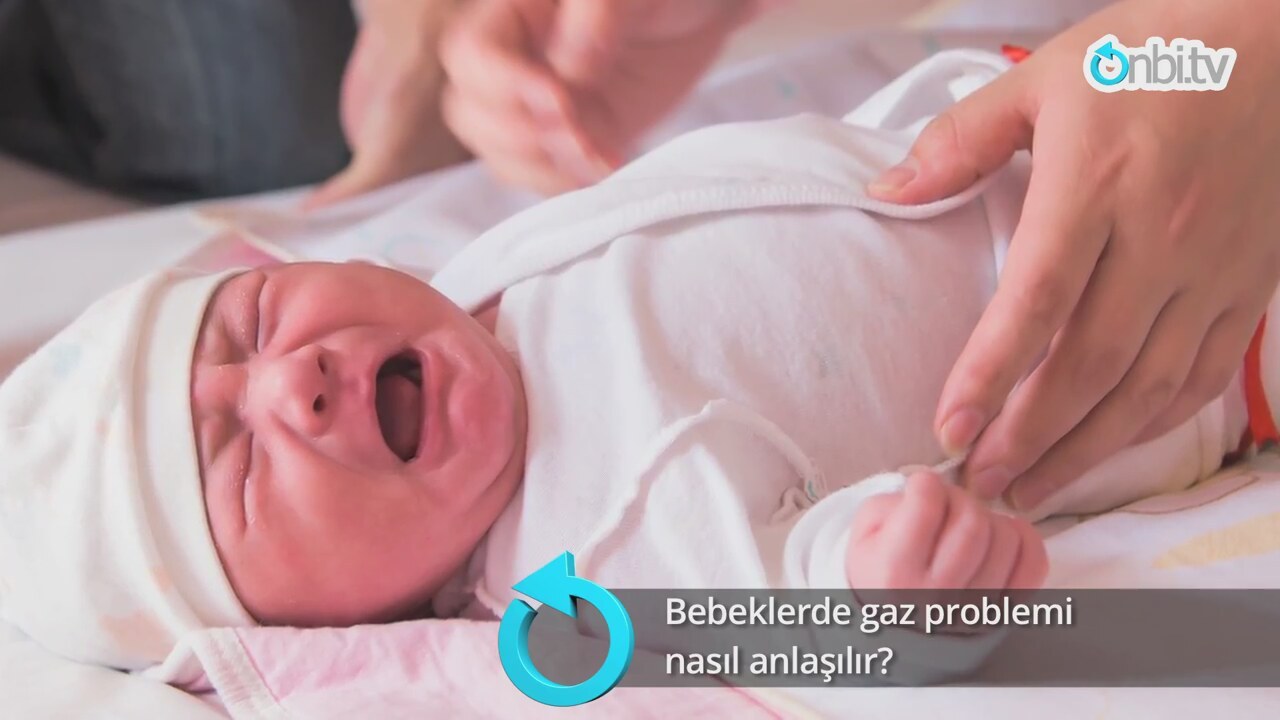 4 kız kardeş fındık ocağı kurdu 4 kız kardeş fındık ocağı kurdu