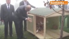 Cumhurbaşkan'ın Başına Keklik Konması