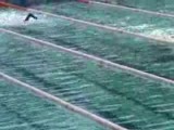 400 m serbest yüzme ankara