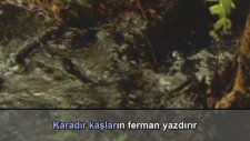Enstrümantal - Karadır Kaşların (Karaoke)