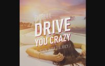 Pitbull - Drive You Crazy (Audio) ft. Jason Derulo, Juicy J