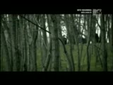duman ( dibine kadar ) yepyeni