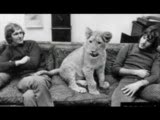 sahibini unutmayan aslan