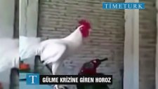 Gülme Krizine Giren Horoz