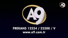 Alerji Nedir?