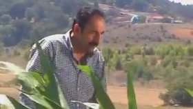 Ali Kaya - Bilemedim Ali Kaya - Bilemedim