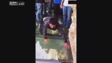 Yükseklik Korkusu Olan Adamın Korku Dolu Anları