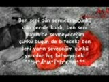 Ahmet_est