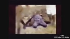 Nicolae & Elena Ceausescu İdam Görüntüleri (1989)