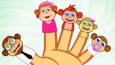 Finger Family Monkeys - Parmak Ailesi - İngilizce Çocuk Şarkıları - Kids Songs