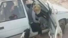 Kimsesiz Köpeğin Yuva İsteği