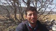 Bana Destek Verin Doları Yerle Yeksan Edeyim