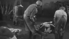 Fransız Mezbahaneleri (1946)