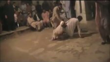 Ateşli Taliban Dansı