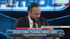 Ahmet Çakar - Hepinize Kobramı Göstericem