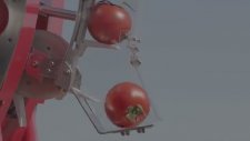 Süper Robot Tomatan