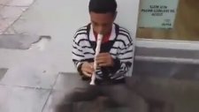 Blok Flüt ile Hasretinle Yandı Gönlüm