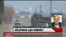 Prof. Dr. İlber Ortaylı'nın Şah Fırat Operasyonu Görüşleri