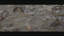 Köylü Çocuğunun Şehirdeki Yaşamını Anlatmak - Ödüllü Kısa Film
