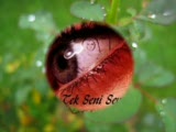 Hande Yener-Güvenemiyorum
