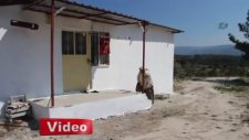 Elektriksiz Yaşam Mücadelesi - Kaçak Elektrik Kullananlar Utansın