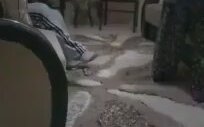 Oğluna Terlik Atan Anne