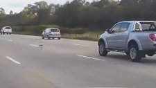 Sinyal Vermeden Şerit Değiştiren Güvercin