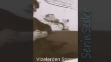 Vizelerden Sonra - Serin Sesler