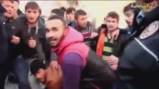 Şehre İnen Domuzu Taşlayan Samsun Halkı!