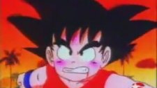 Dragon Ball (Türkçe Dublaj - 20 dakika)