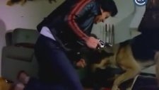 Dünyanın Gelmiş Geçmiş En Pasif Kalabalığı 2