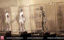 Terminator Filmi Hakkında Kısa Bilgiler