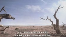 Dinozor Dünyası - 1. Bölüm Kayıp Dünya ( BBC)