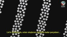 Evrim Ağacı - Karadeliklerin İçinde Ne Var?