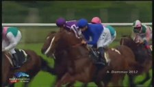 Frankel - Queen Anne Stakes - 140 Handikap Puanlı At