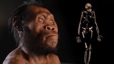 İşte Yeni Keşfedilen İnsan Türü Homo Naledi