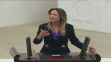 Aylin Nazlıaka'dan Meclise Tarihi Ayar