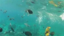 Dünyanın En Güzel Yeri - Tyland - Phuket