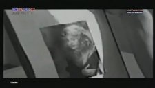 Özcan Deniz - Amanın Aman (1993)