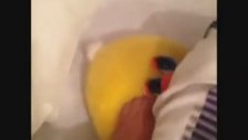 Bir Erkek Bir Peluş