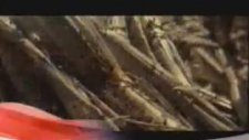 Bob Ross - Resim Sevinci - 4 (Trt 2 Dublaj)