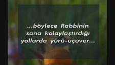 Arıların sırları