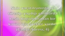 Muhteşem güzellikte kuşlar