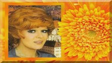 Neşe Karaböcek - Artık sevmeyeceğim (1970)