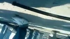 Trafikte Giderken Makas Atayım Derken Takla Atan Kızlar