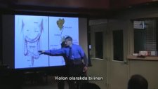 Bizlerden Sır Gibi Saklanan Gerçekler - Neden Veganlık